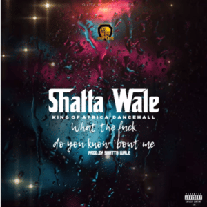 Shatta Wale - What The Fck Do You Know Bout Me