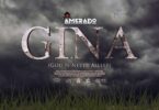 amerado announces g.i.n.a album