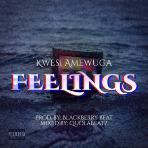 Kwesi Amewuga - Feelings