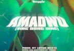 Skyface SDW – Amadwo (Ding Dong Ding) Ft Reggie