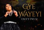 Ceccy Twum Gye Wayeyi