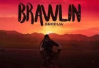Chronic Law - Brawlin