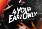 dj lord – 4 your earz only (volume 13)