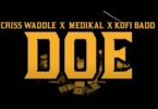 Criss Waddle – Doe Video Ft Medikal