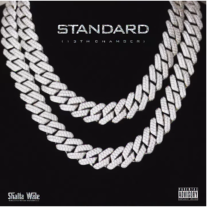 Shatta Wale – Standard (Video)