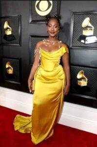 tems at the red carpet