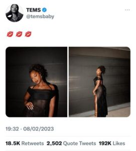 tems tweet on her twitter handle