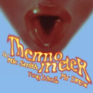 DJ Mic Smith - Thermometer (Ma Lo)