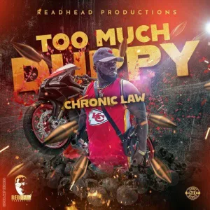 Chronic Law – Too Much Duppy
