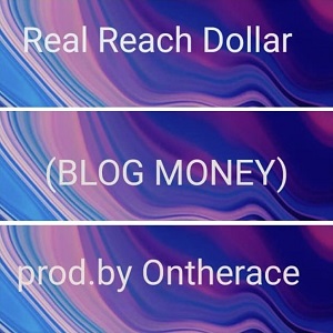 Real Reach Dollar - Blog Money