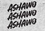 dayonthetrack – ashawo lyrics
