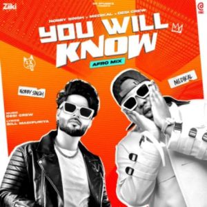 Nobby Singh - You Will Know Ft Medikal