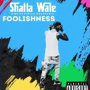 Shatta Wale - Foolishness