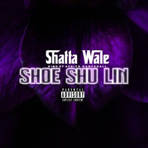 Shatta Wale – Shoe Shu Lin