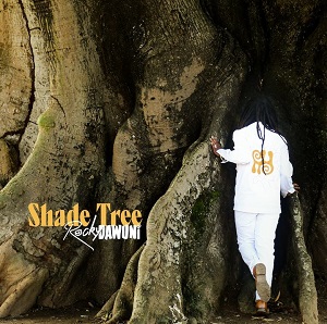 rocky dawuni releases empowering anthem 'shade tree' from upcoming album