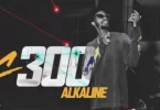 Alkaline – C300