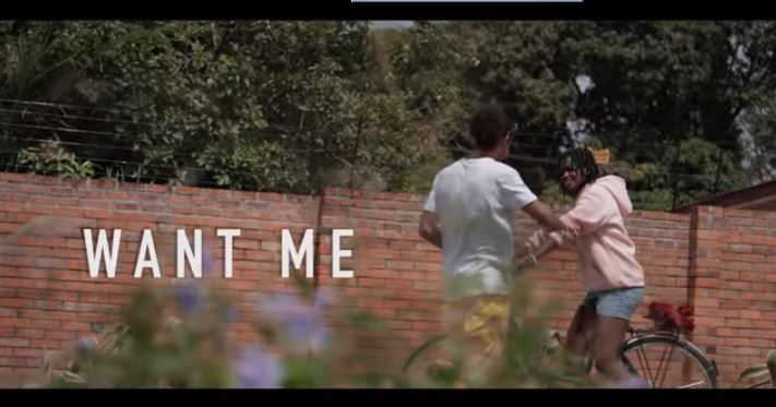 Download MP3: Official Video: OV – Want Me Ft Stonebwoy