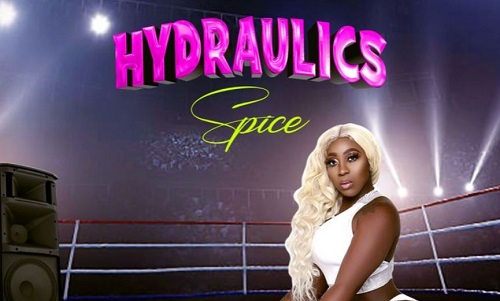 Hydraulics Wine by Spice