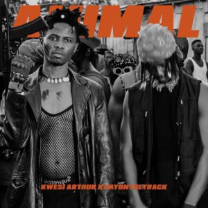 Kwesi Arthur x Dayonthetrack - Animal Video