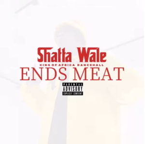 Shatta Wale - Ends Meat