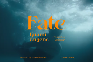Kuami Eugene - Fate Video