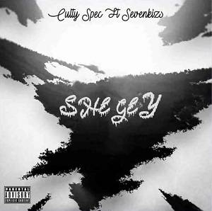 Culty Spec - Shegey Ft SevenKizs