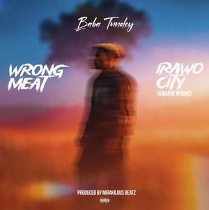 Baba Tundey - Wrong Meat