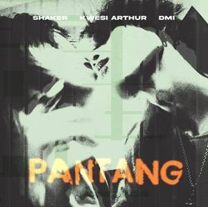 Shaker - Pantang Ft Kwesi Arthur & DMI