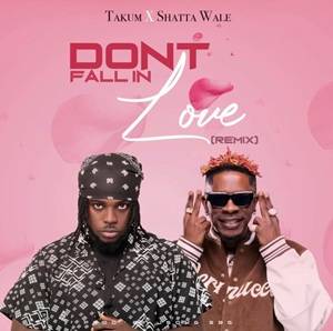 Takum - Don't Fall in Love (Remix) Ft Shatta Wale