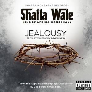 Shatta Wale - Jealousy