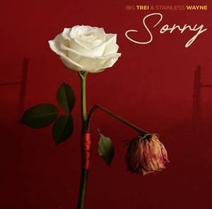 Big Trei & Stainless Wayne - Sorry