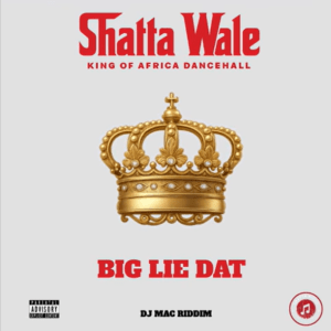 Shatta Wale - Big Lie Dat