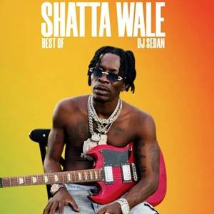 dj sedan best of shatta wale (dancehall hitz)