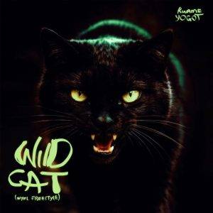 Wildcat by Kwame Yogot,Yogot Wildcat