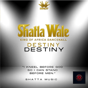 Shatta Wale - Destiny
