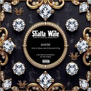 Shatta Wale - Forgive You
