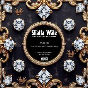 Maybe by Shatta Wale,Shatta Wale Maybe
