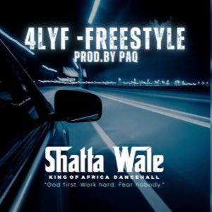 4LYF (Freestyle) by Shatta Wale,Shatta Wale 4lYF (Freestyle)