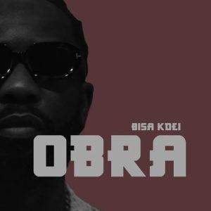 Bisa Kdei – Obra