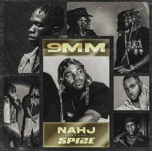 nahj 9mm ft spize