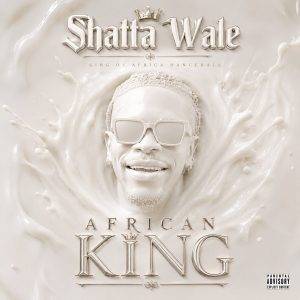 Shatta Wale - Anfa