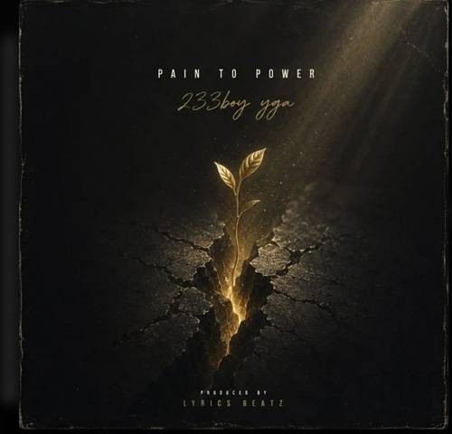 233Boy YGA - Pain To Power