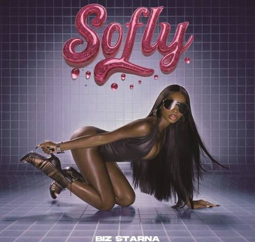 Biz Starna - Sofly