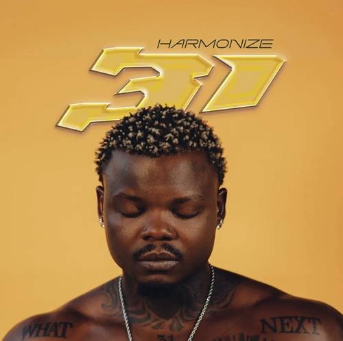 harmonize beer ft stonebwoy