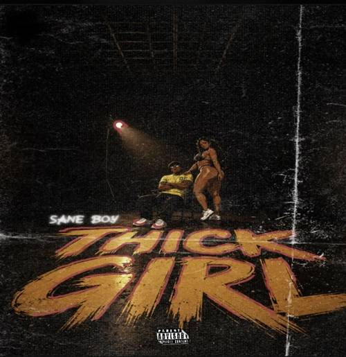 Sane Boy - Thick Girl