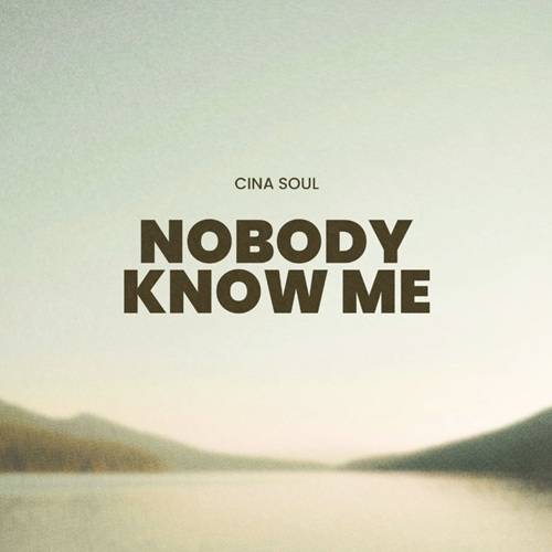 Cina Soul - Nobody Know Me